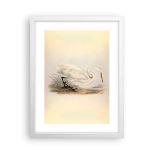 Plakát v bílém rámu - Paní rákosin - 30x40 cm