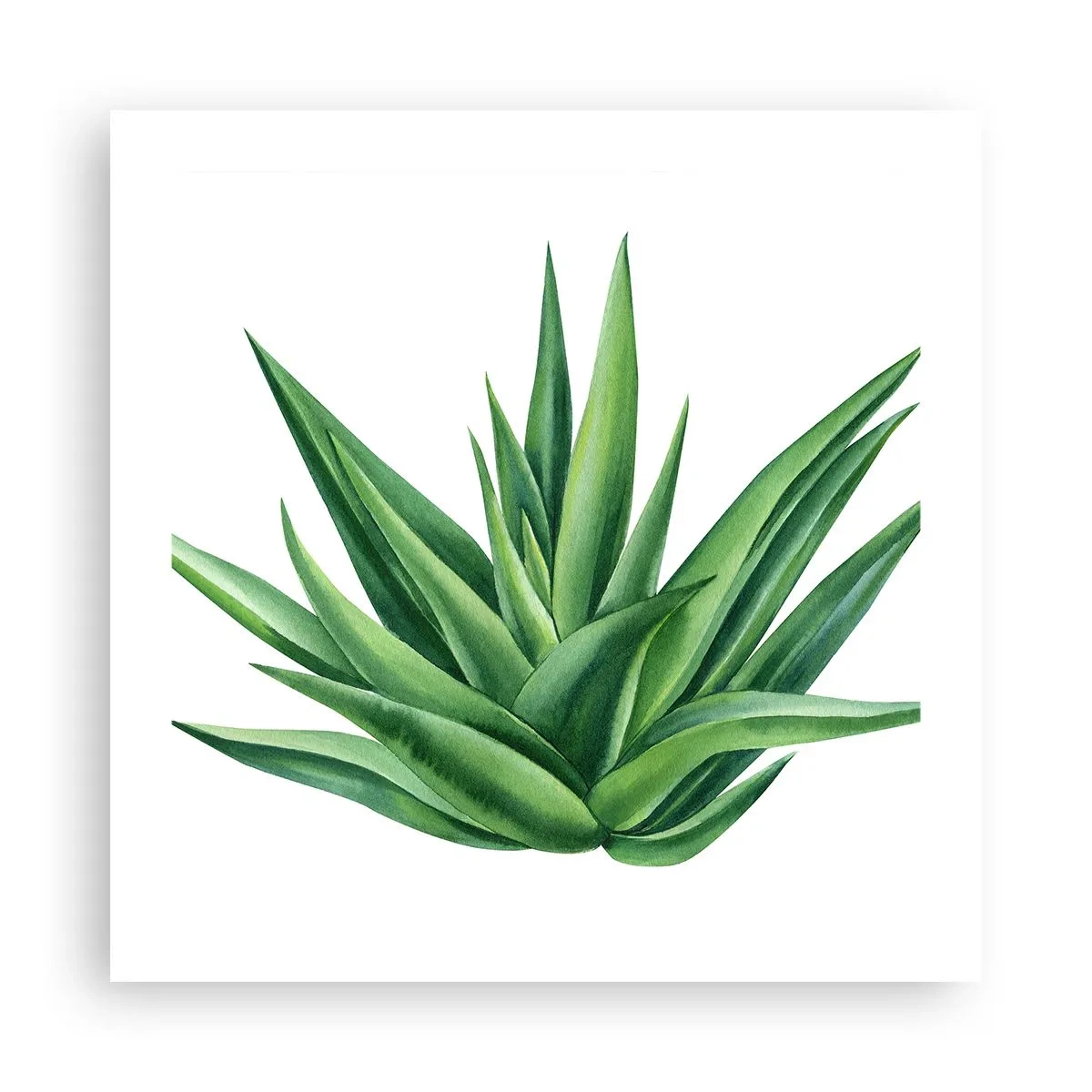 Plakát - Zelená – síla – život - 50x50 cm
