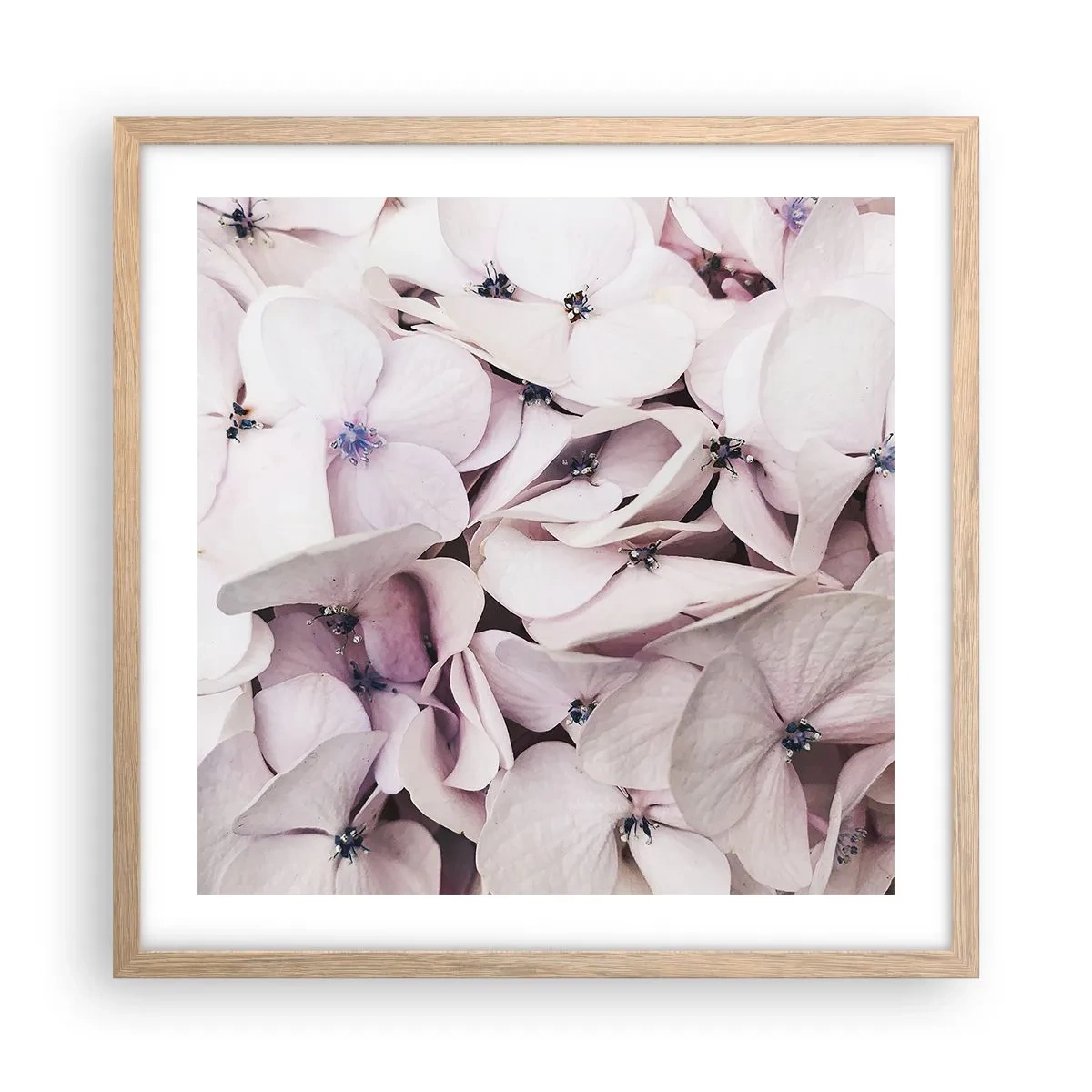 Plakát v rámu světlý dub - V záplavě květin - 50x50 cm