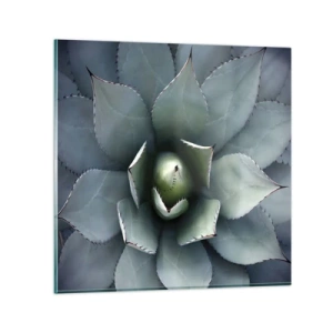 Obraz na skle - Svádí a varuje - 70x70 cm