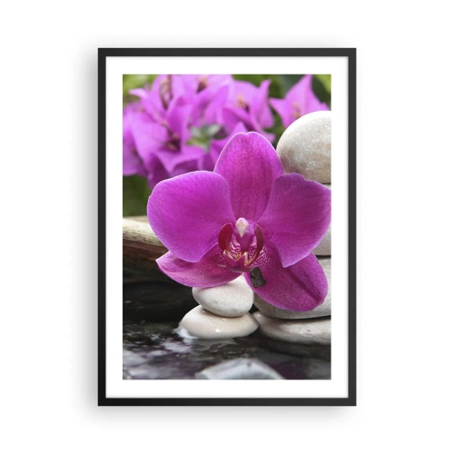 Plakát v černém rámu - Fialová orchidej na pozadí kamenů v harmonickém uspořádání - 50x70cm - Už odpočíváš - Moderní nástěnná dekorace do obývacího pokoje a ložnice ARTTOR