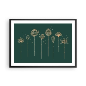 Plakát v černém rámu - Bylinky - 70x50 cm