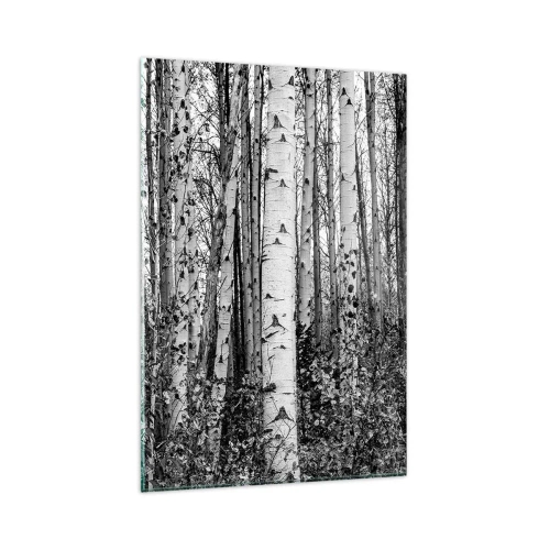 Obraz na skle - Březová kolonáda - 80x120 cm