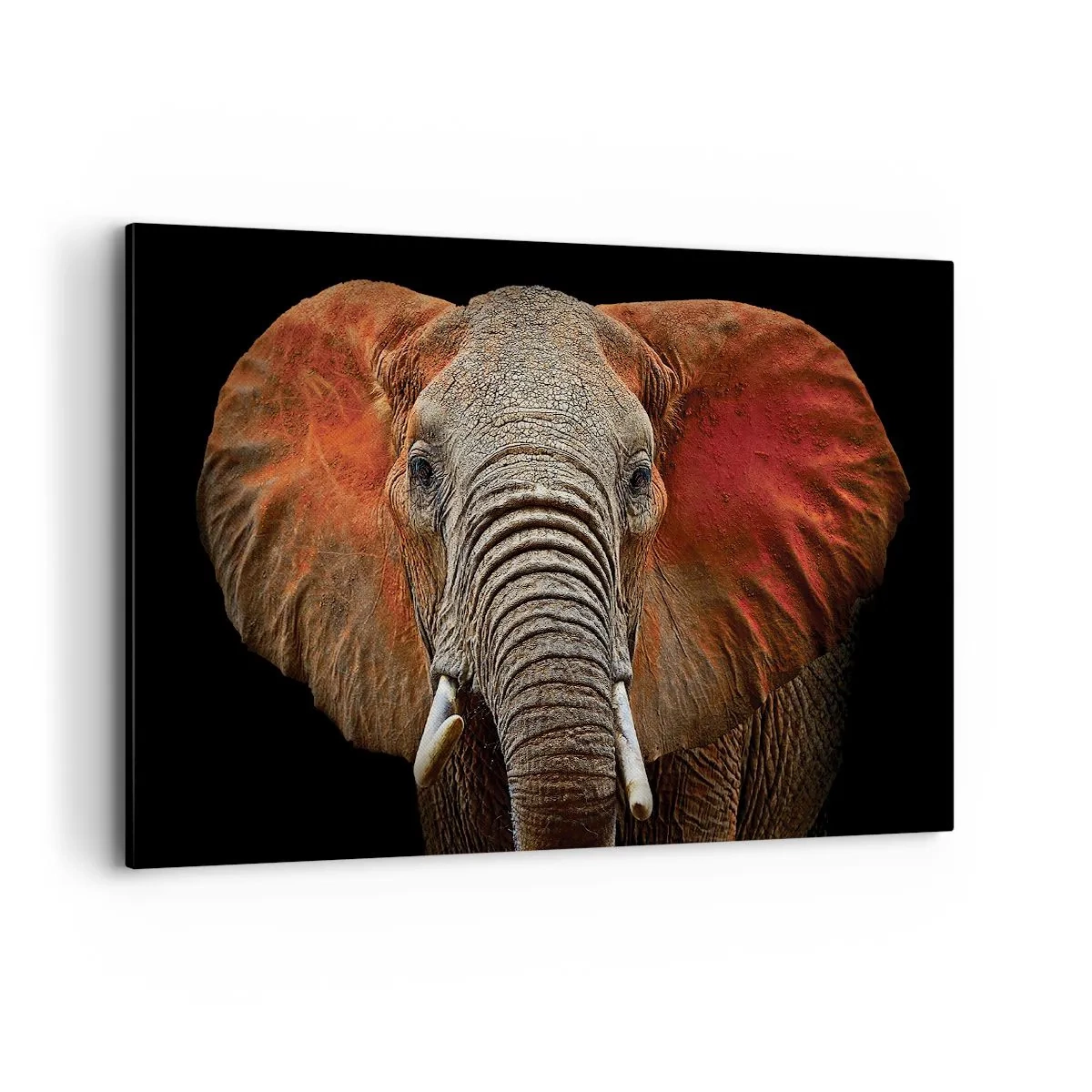 Obraz na plátně - Jsem divoký, a ty? - 120x80 cm