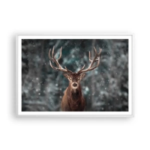 Plakát v bílém rámu - Skutečný král lesa - 100x70 cm