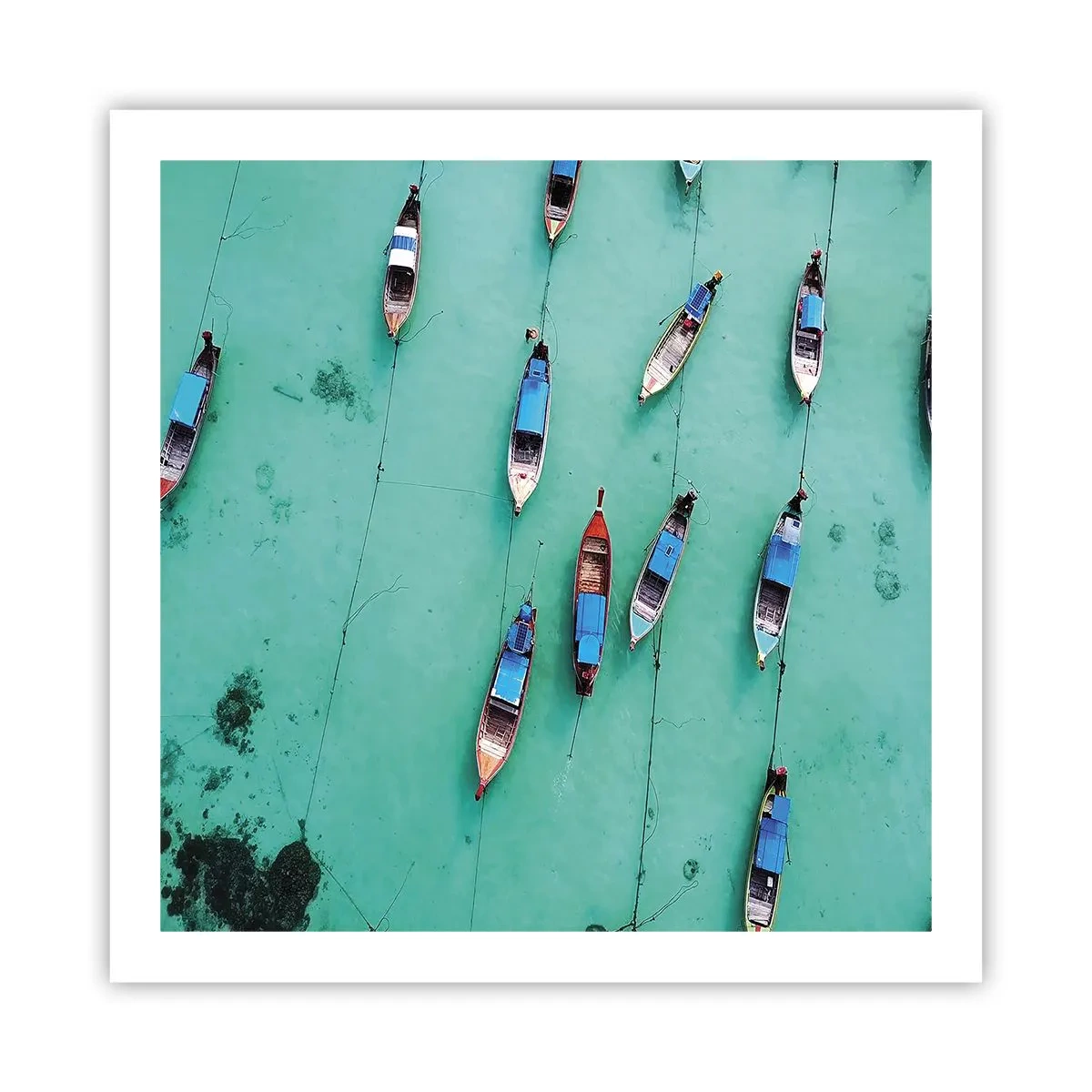 Plakát - V radostném očekávání - 60x60 cm