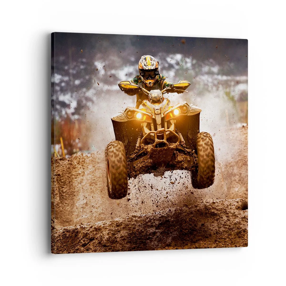 Obraz na plátně - No risk no fun - 40x40 cm