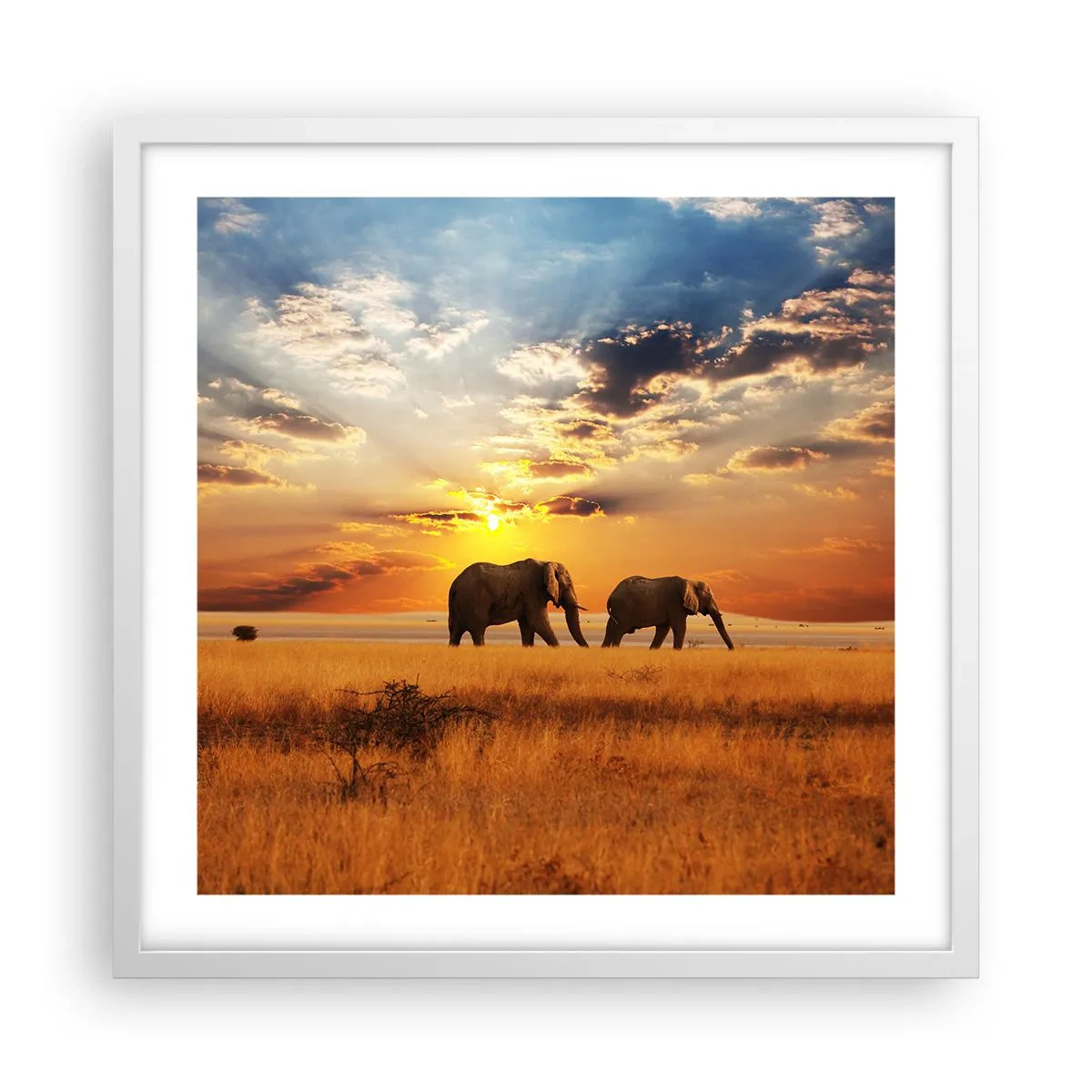 Plakát v bílém rámu - Rodinná procházka - 50x50 cm