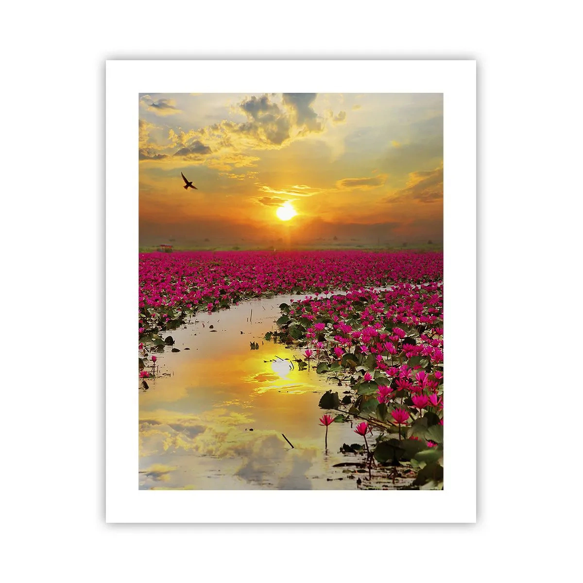 Plakát - Tajemný život jezera - 40x50 cm