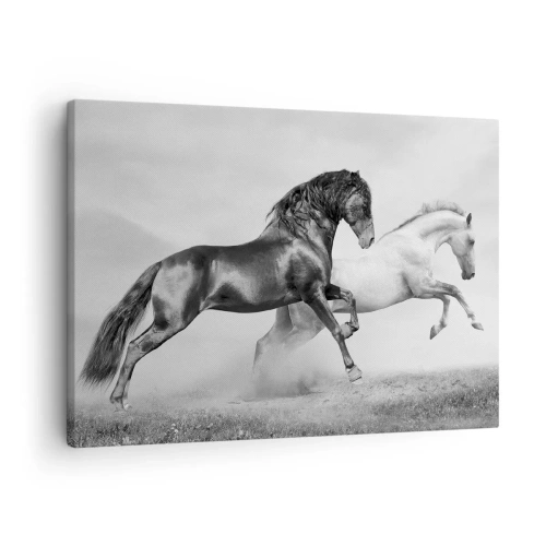 Obraz na plátně - Dva cválající koně v dynamické černobílé kompozici - 70x50cm - Andělé a démoni - Moderní nástěnná dekorace do obývacího pokoje a ložnice ARTTOR