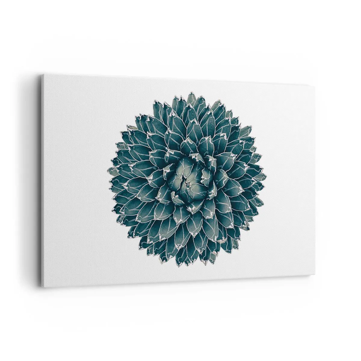 Obraz na plátně - Hvězda pouště - 120x80 cm