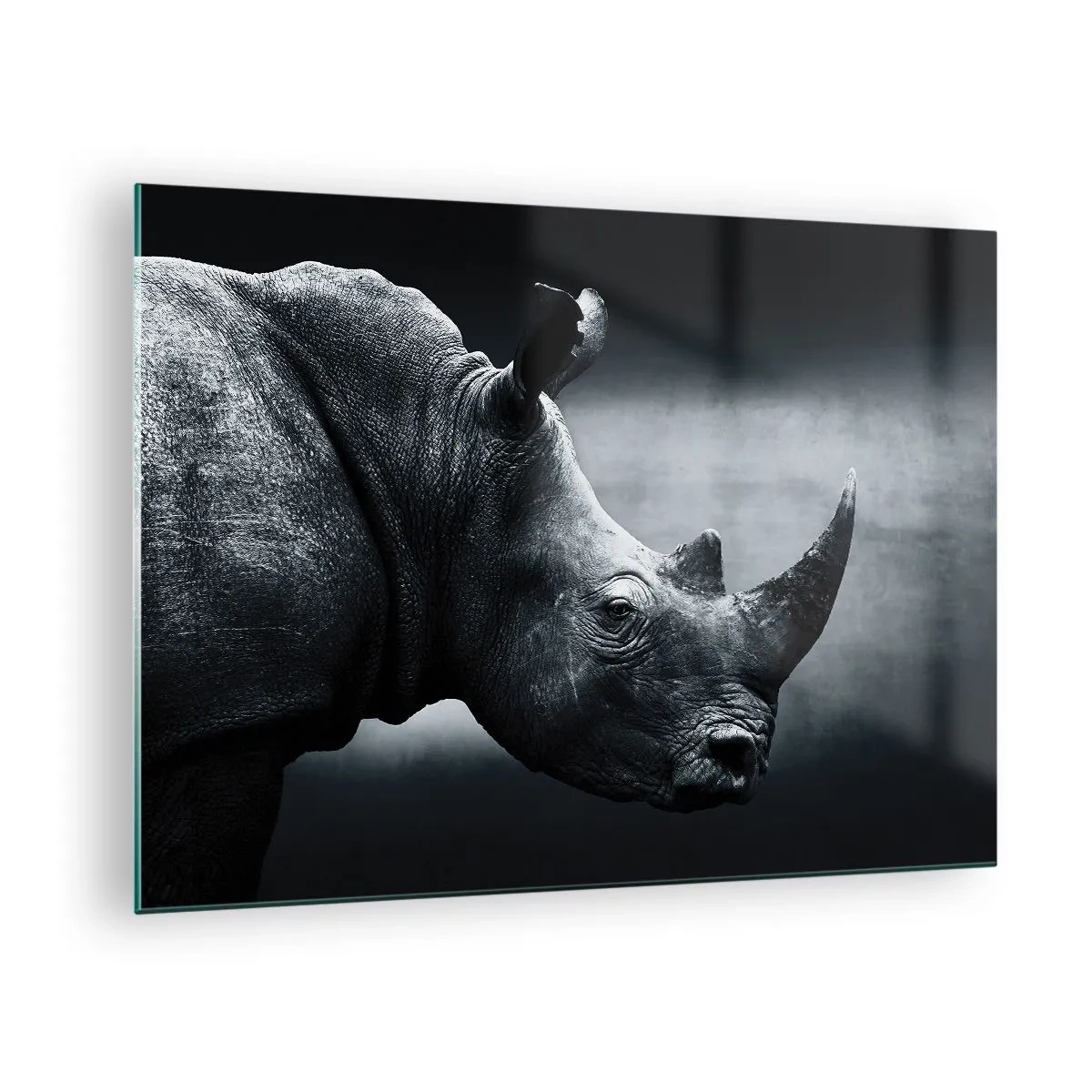 Obraz na skle - Černobílý snímek nosorožce - 70x50cm - Pravý profil - Moderní nástěnná dekorace do obývacího pokoje a ložnice ARTTOR