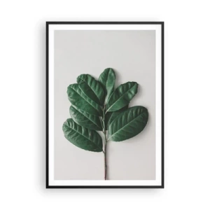 Plakát v černém rámu - Kresba samotné přírody - 70x100 cm