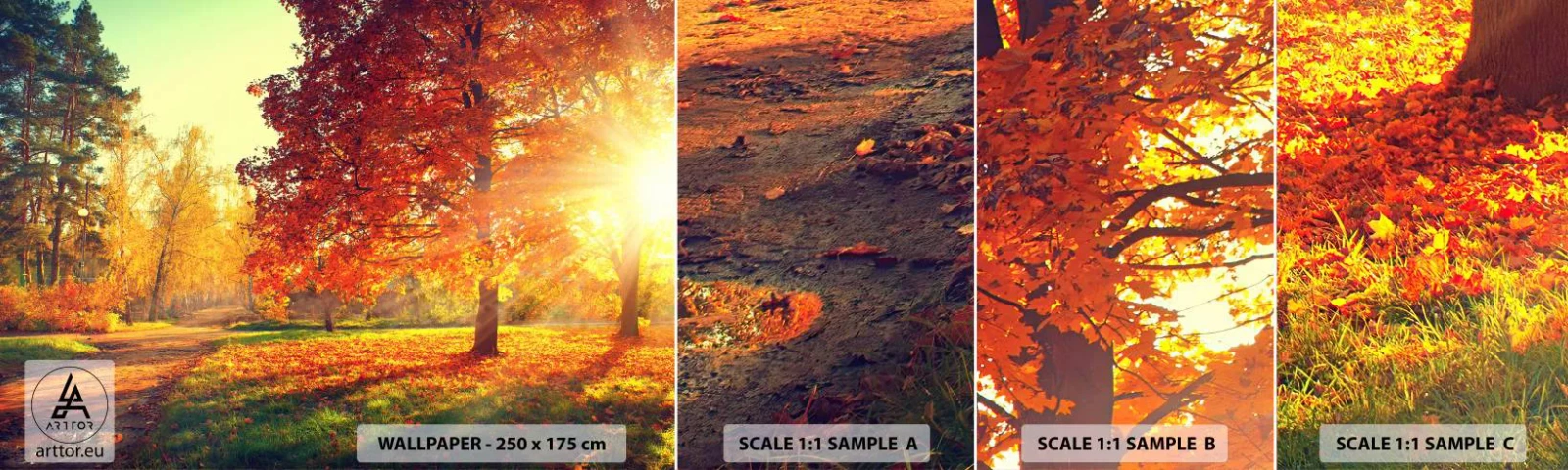 Fototapeta Vzorek Standard Eco - Rudé je krásné - Krajina, Park, Příroda - 100x30 cm