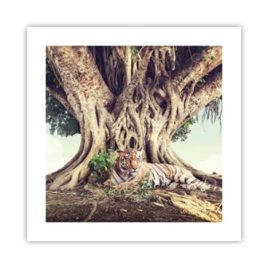 Plakát - Pohled z knihy Mojžíšovy - 40x40 cm