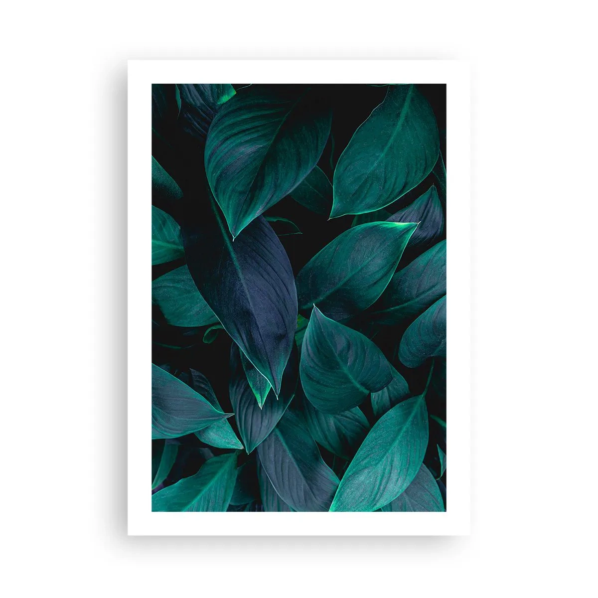 Plakát - Zeleň sama o sobě - 50x70 cm