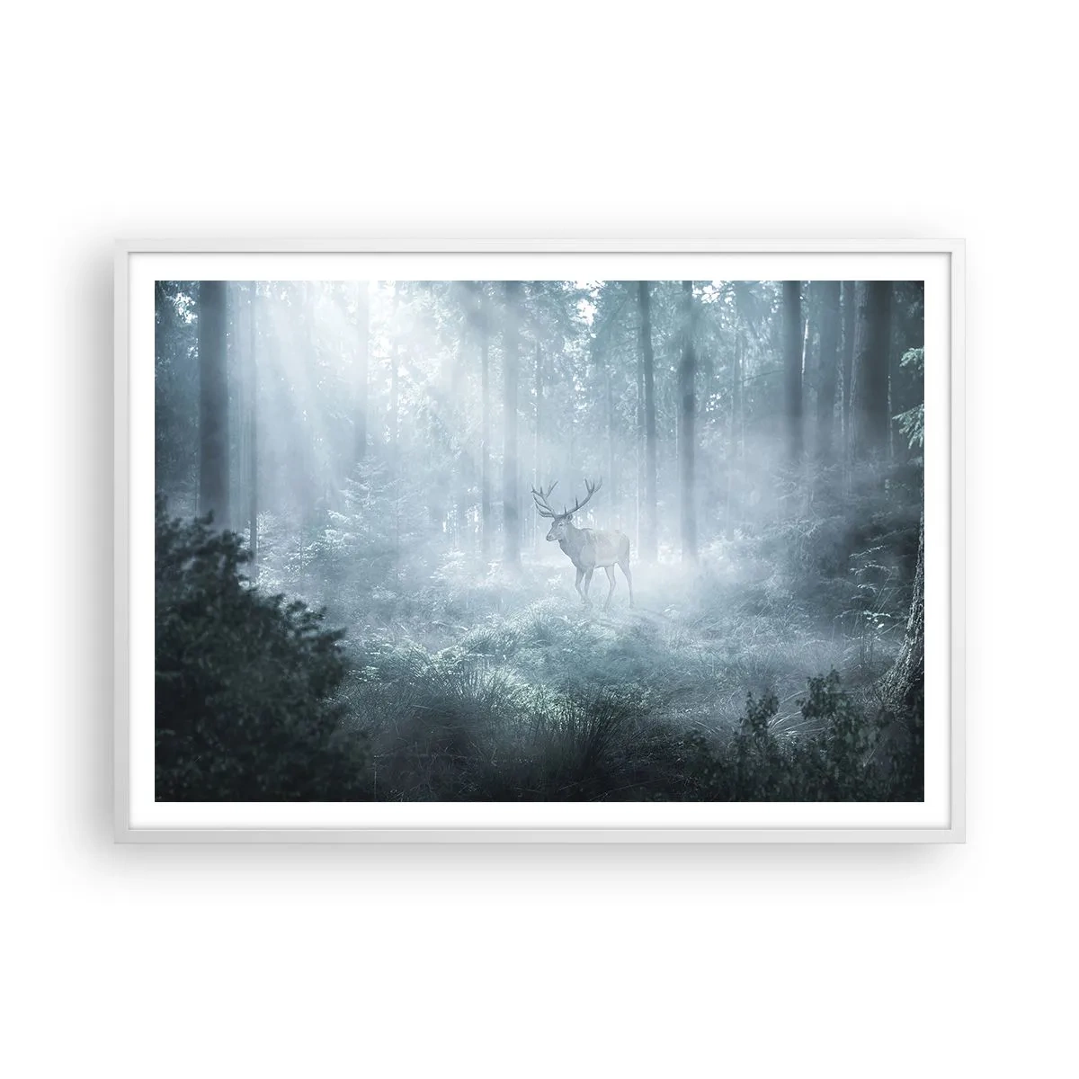 Plakát v bílém rámu - Ranní obchůzka sídliště - 100x70 cm