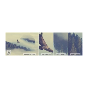 Vzor Fototapety Samolepicí Deluxe Sticker - Viděla jsem stín orla - Orel, Pták, Les - 100x30 cm