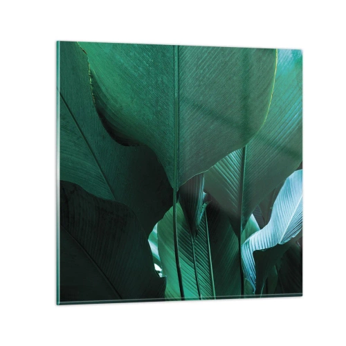 Obraz na skle - Obrácené ke světlu - 70x70 cm