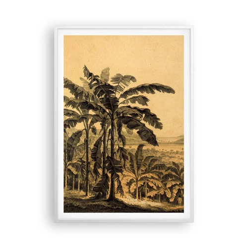 Plakát v bílém rámu - V koloniálním stylu - 70x100 cm
