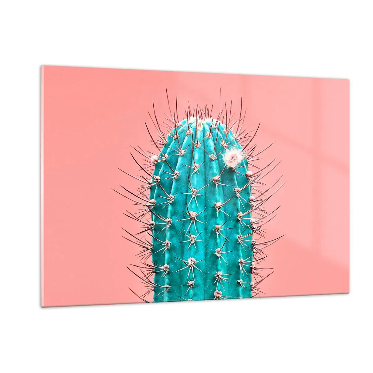 Obraz na skle - Jen koukej - 120x80 cm