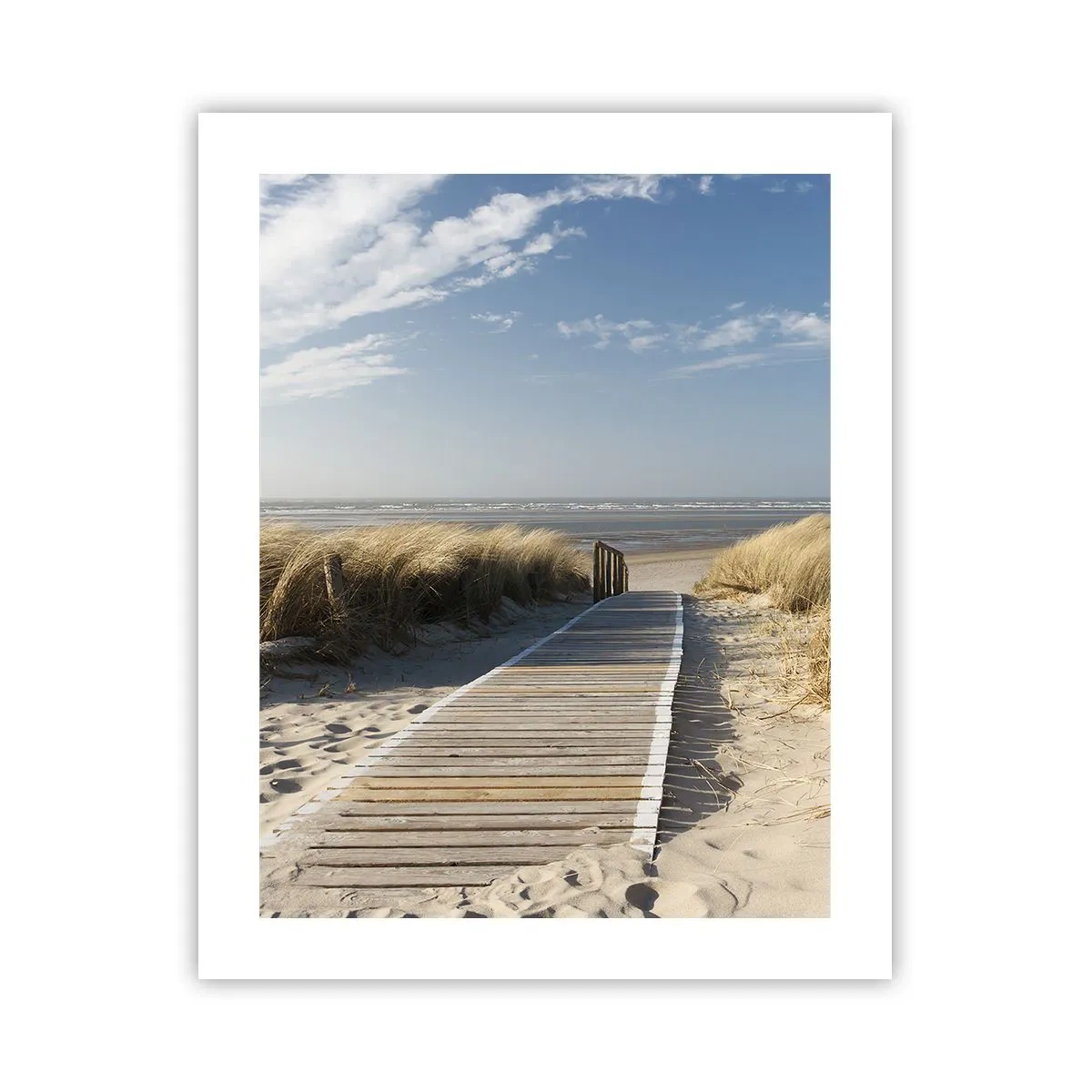 Plakát - Za dunou, v šumění trávy - 40x50 cm