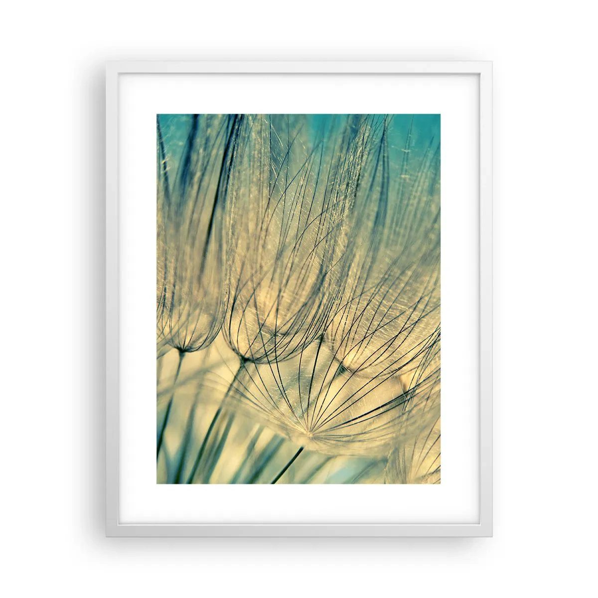 Plakát v bílém rámu - Čekání na vítr - 40x50 cm