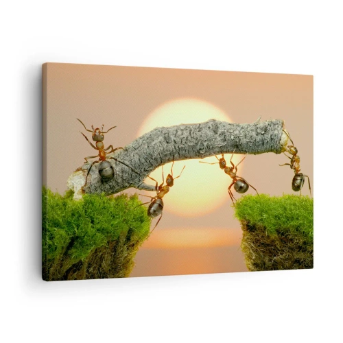 Obraz na plátně - Mravenci staví most z větví na pozadí zapadajícího slunce. - 70x50cm - Radostná, společná práce - Moderní nástěnná dekorace do obývacího pokoje a ložnice ARTTOR