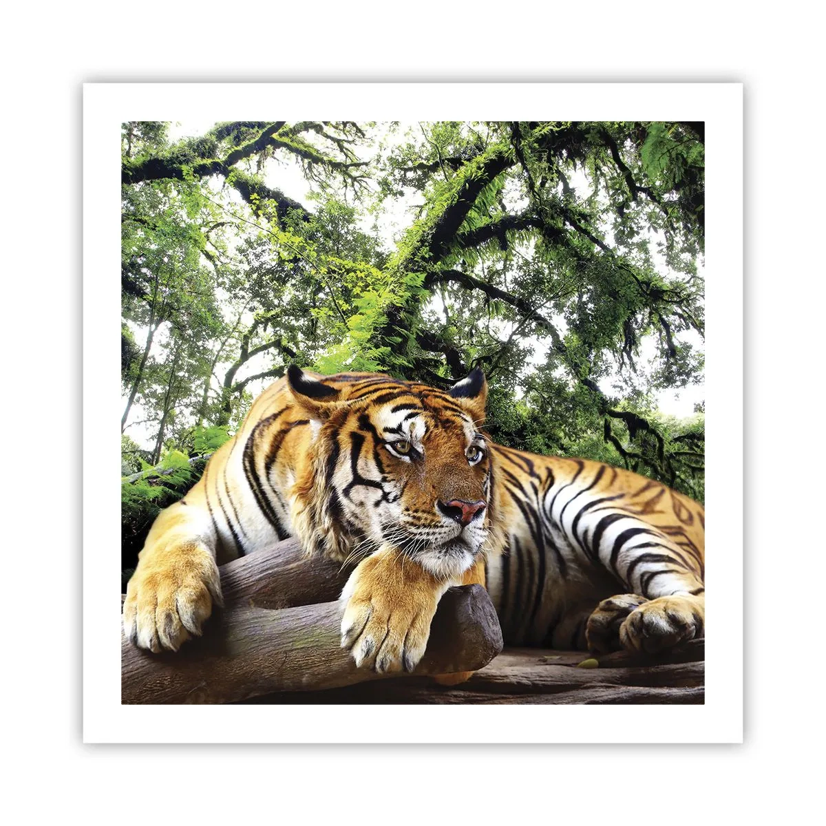 Plakát - S úctou - 60x60 cm