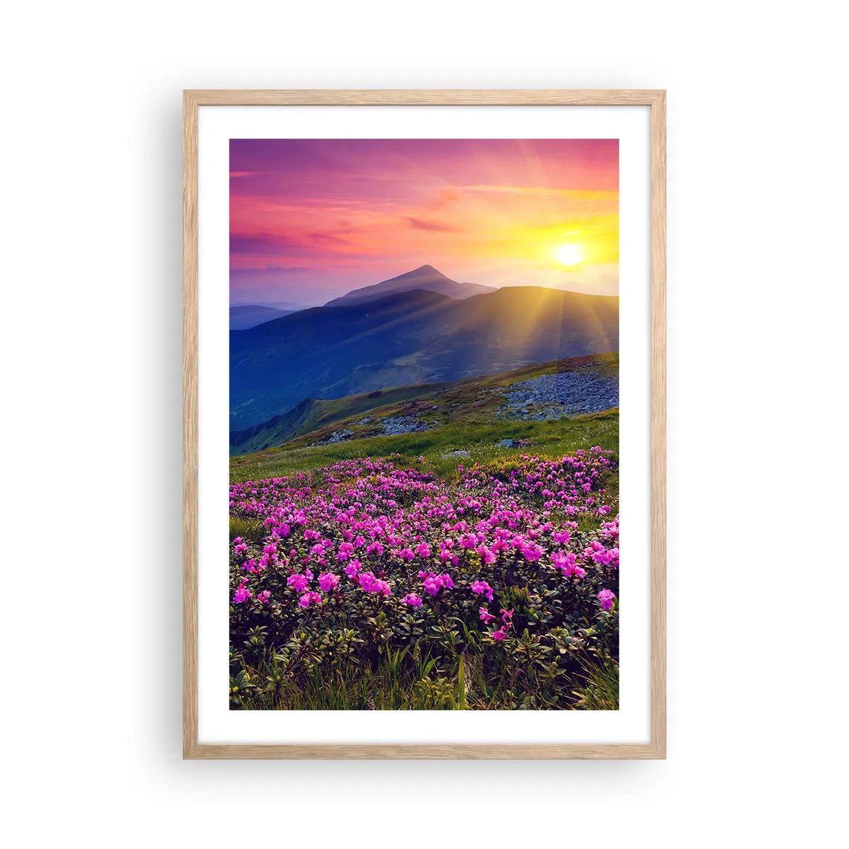 Plakát v rámu světlý dub - …A kolem voní kosodřevina a voní byliny - 50x70 cm