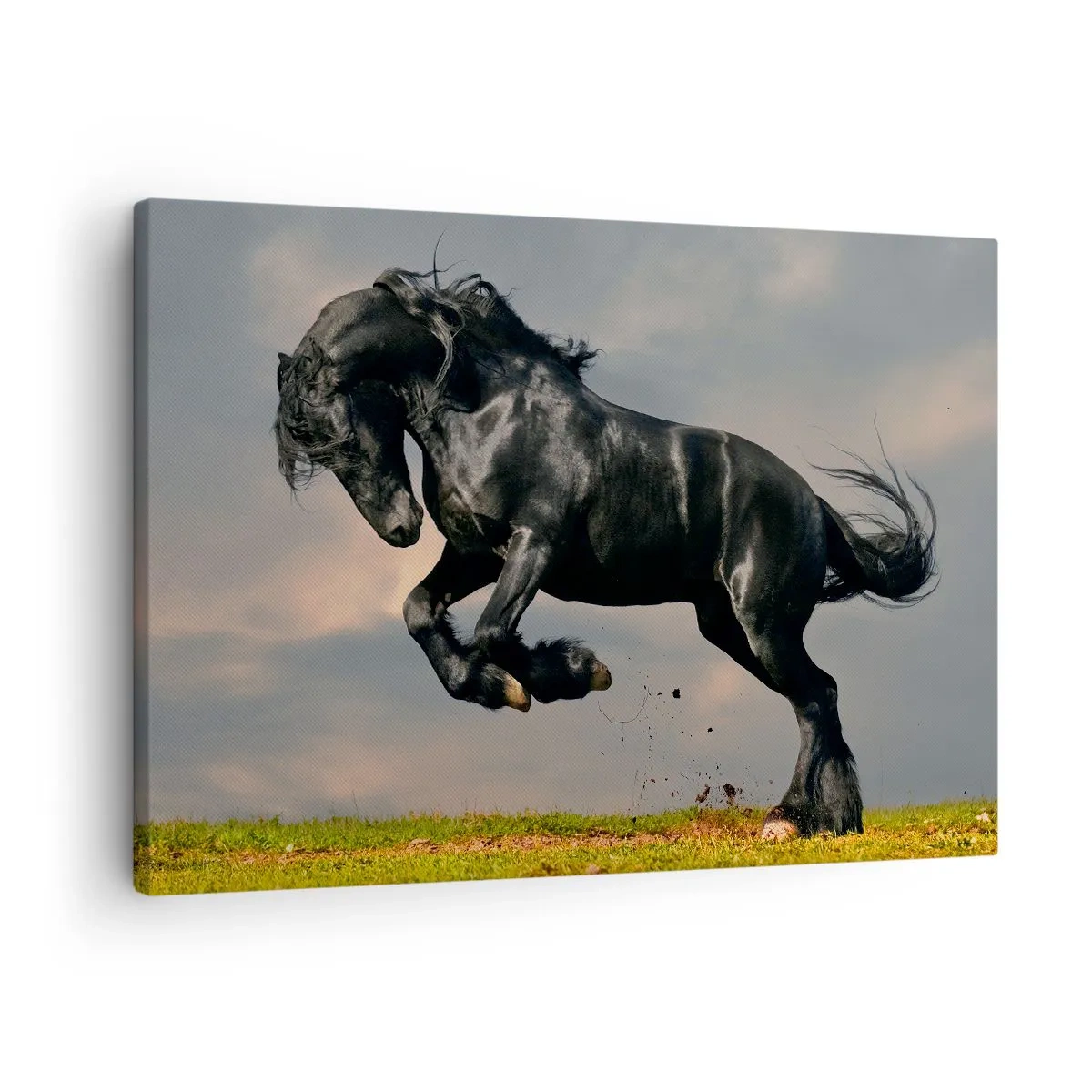 Obraz na plátně - Tmavý kůň v dynamickém skoku proti obloze - 70x50cm - Krásný a svobodný - Moderní nástěnná dekorace do obývacího pokoje a ložnice ARTTOR