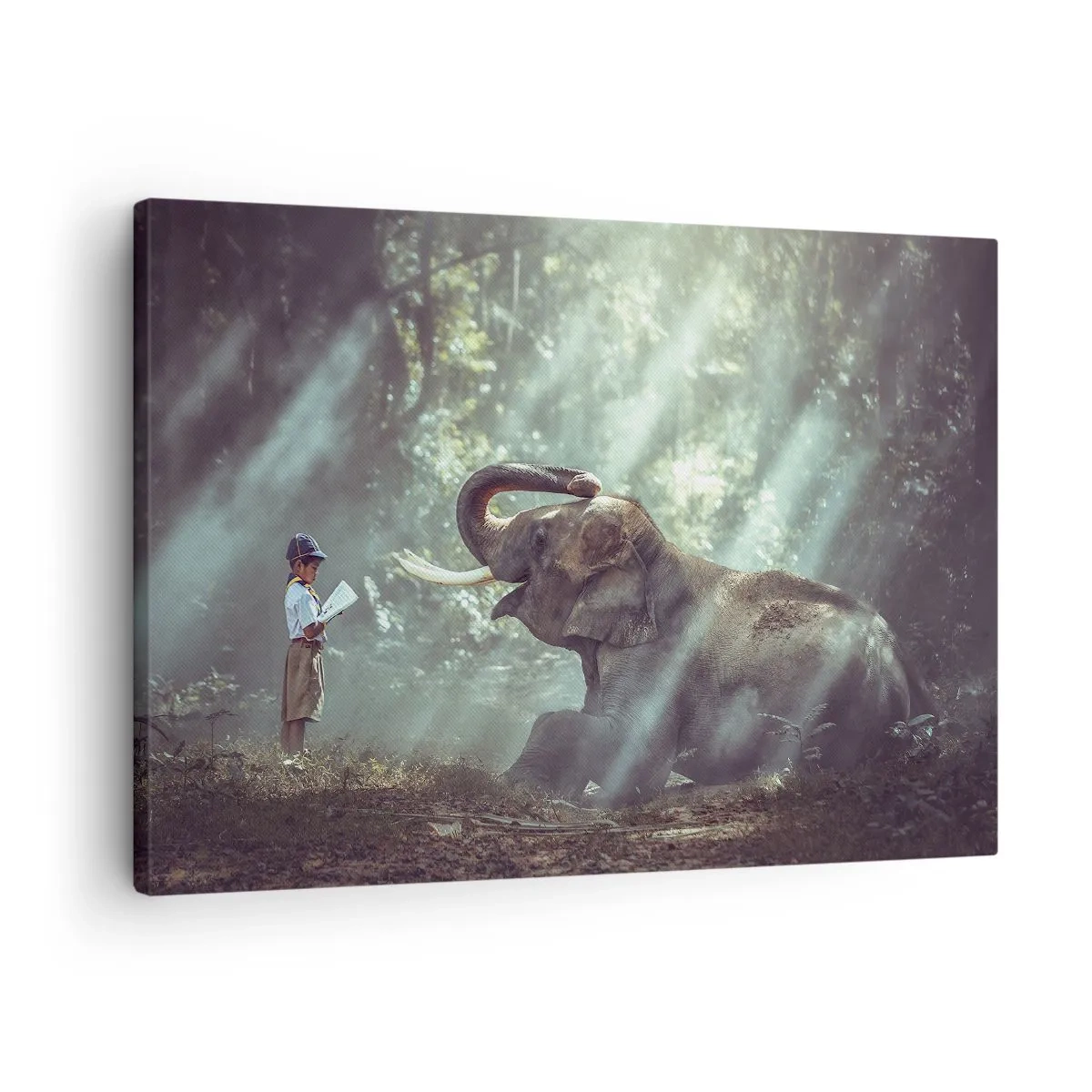 Obraz na plátně - Chlapec a slon v lesním prostředí osvětleném slunečním světlem - 70x50cm - A poslouchej tohle… - Moderní nástěnná dekorace do obývacího pokoje a ložnice ARTTOR