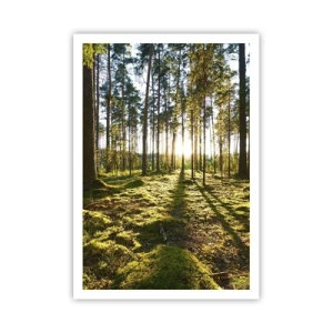 Plakát - …Za sedmero lesy - 70x100 cm