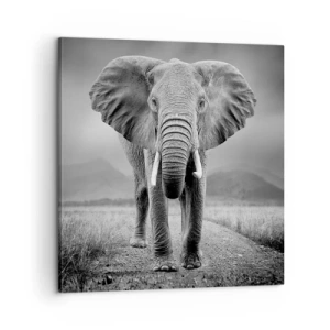 Obraz na plátně - Hostitel vítá - 60x60 cm