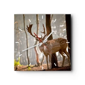 Nástěnné hodiny - Světlo mládí - 40x40 cm