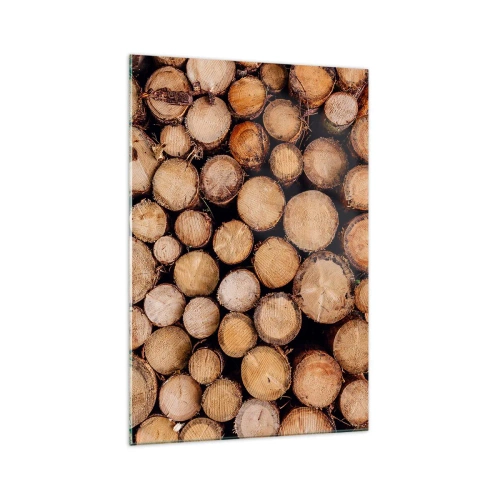 Obraz na skle - Nový začátek - 70x100 cm