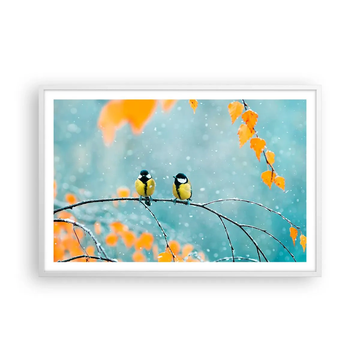 Plakát v bílém rámu - Ptačí drby - 91x61 cm