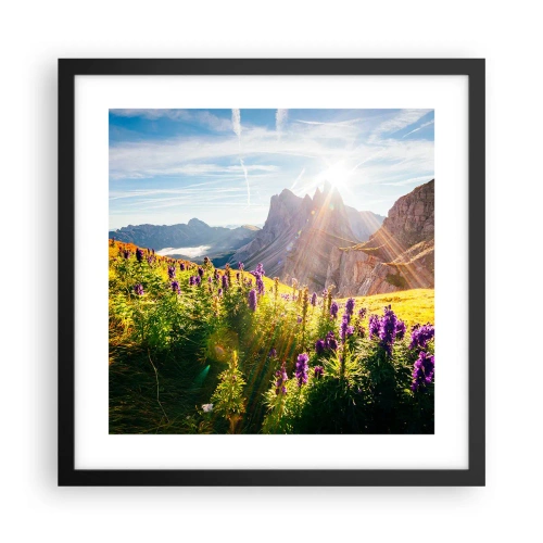 Plakát v černém rámu - Tajemný život bylin - 40x40 cm