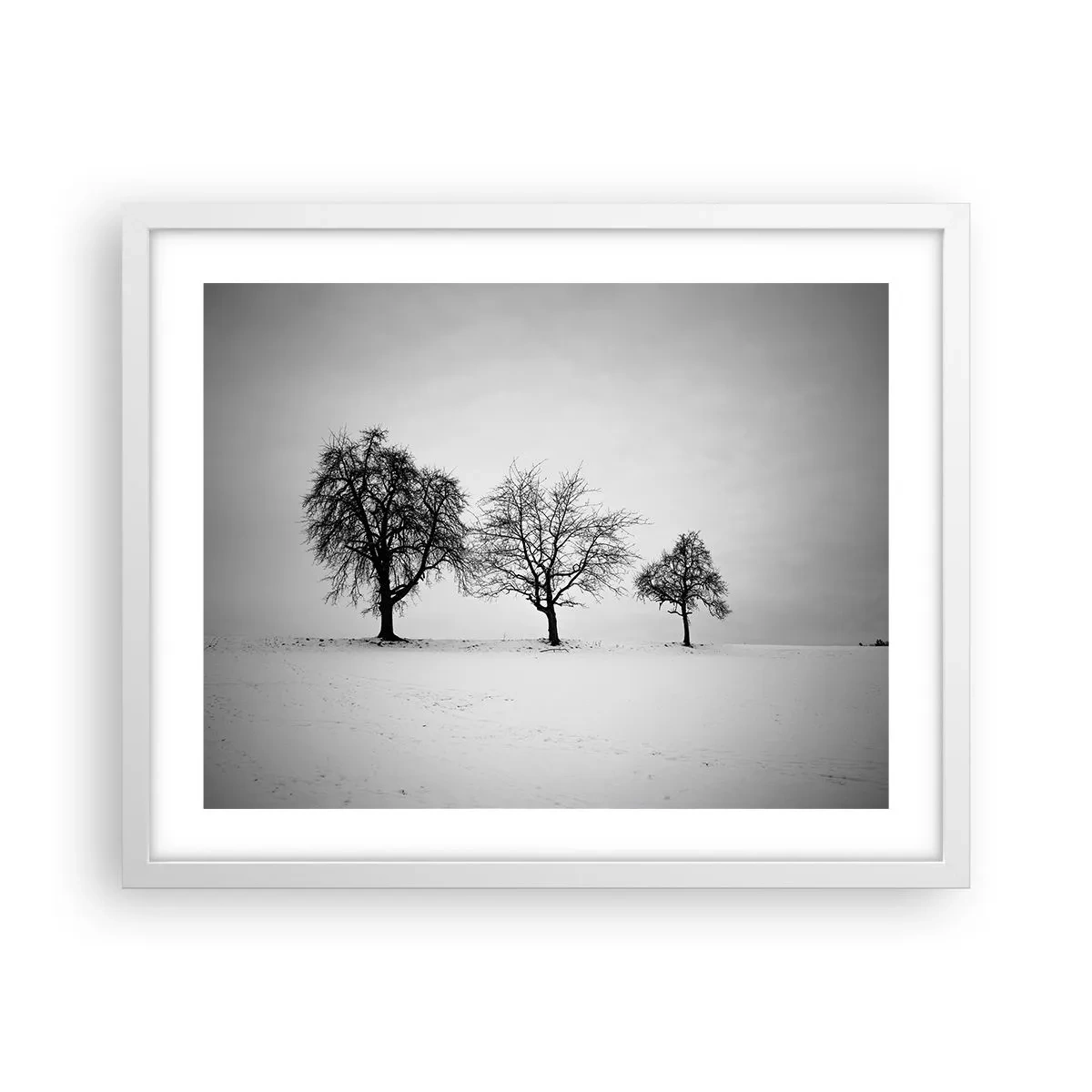 Plakát v bílém rámu - O čem sní? - 50x40 cm