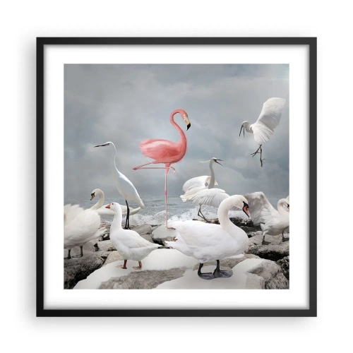 Plakát v černém rámu - Kde jsem se tu vzal? - 50x50 cm