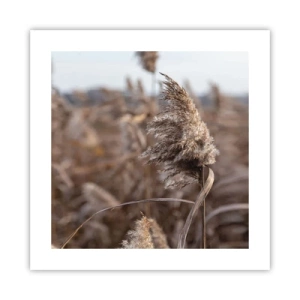 Plakát - Čas odletět s větrem - 40x40 cm