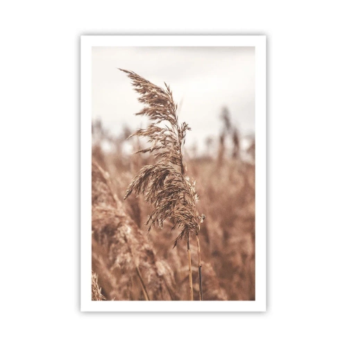 Plakát - Na polích už je podzim - 61x91 cm