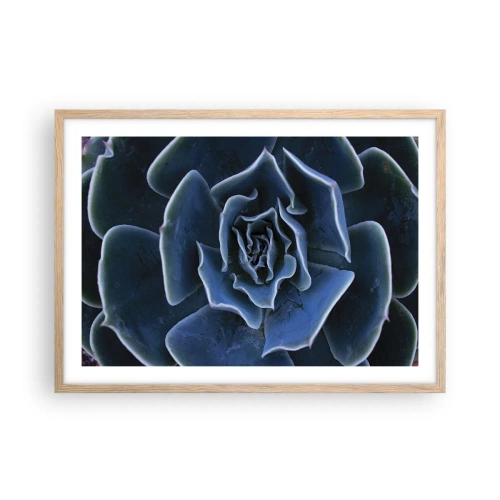 Plakát v rámu světlý dub - Pouštní květ - 70x50 cm