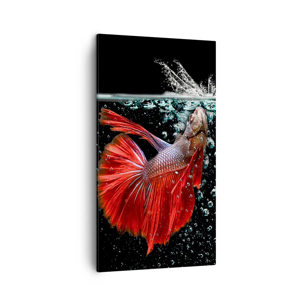 Obraz na plátně - Máš tři přání - 45x80 cm