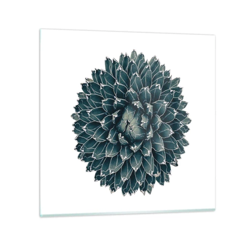 Obraz na skle - Hvězda pouště - 50x50 cm