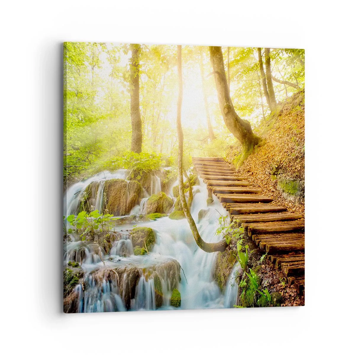 Obraz na plátně - Vytoužený chlad - 70x70 cm