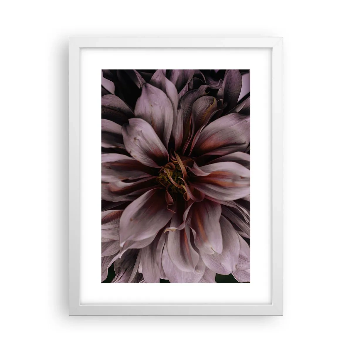 Plakát v bílém rámu - Květinové srdce - 30x40 cm