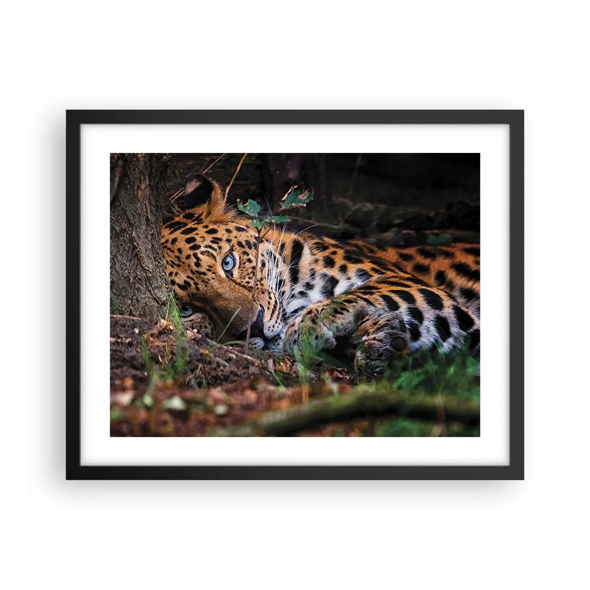 Plakát v černém rámu - Věř mi - 50x40 cm