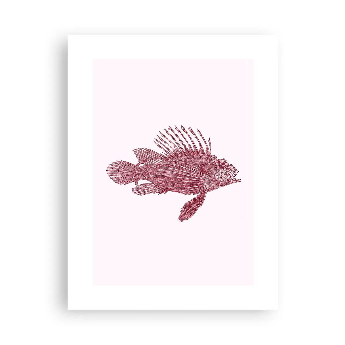 Plakát - Obyvatelka exotických vod - 30x40 cm