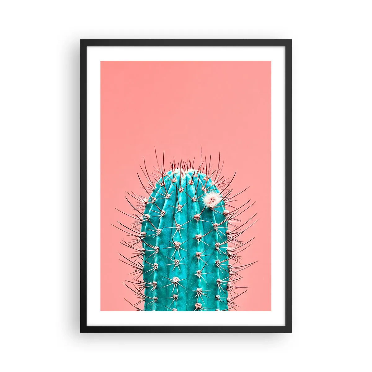 Plakát v černém rámu - Tyrkysový kaktus na růžovém pozadí - 50x70cm - Jen koukej - Moderní nástěnná dekorace do obývacího pokoje a ložnice ARTTOR